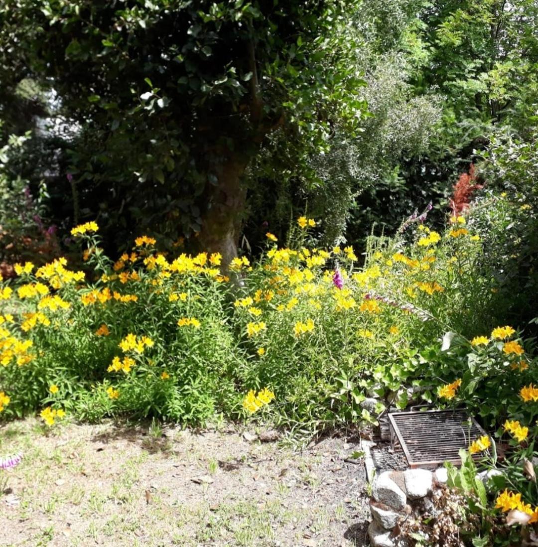Tierras Del Sur I Un Calido Lugar Chalet