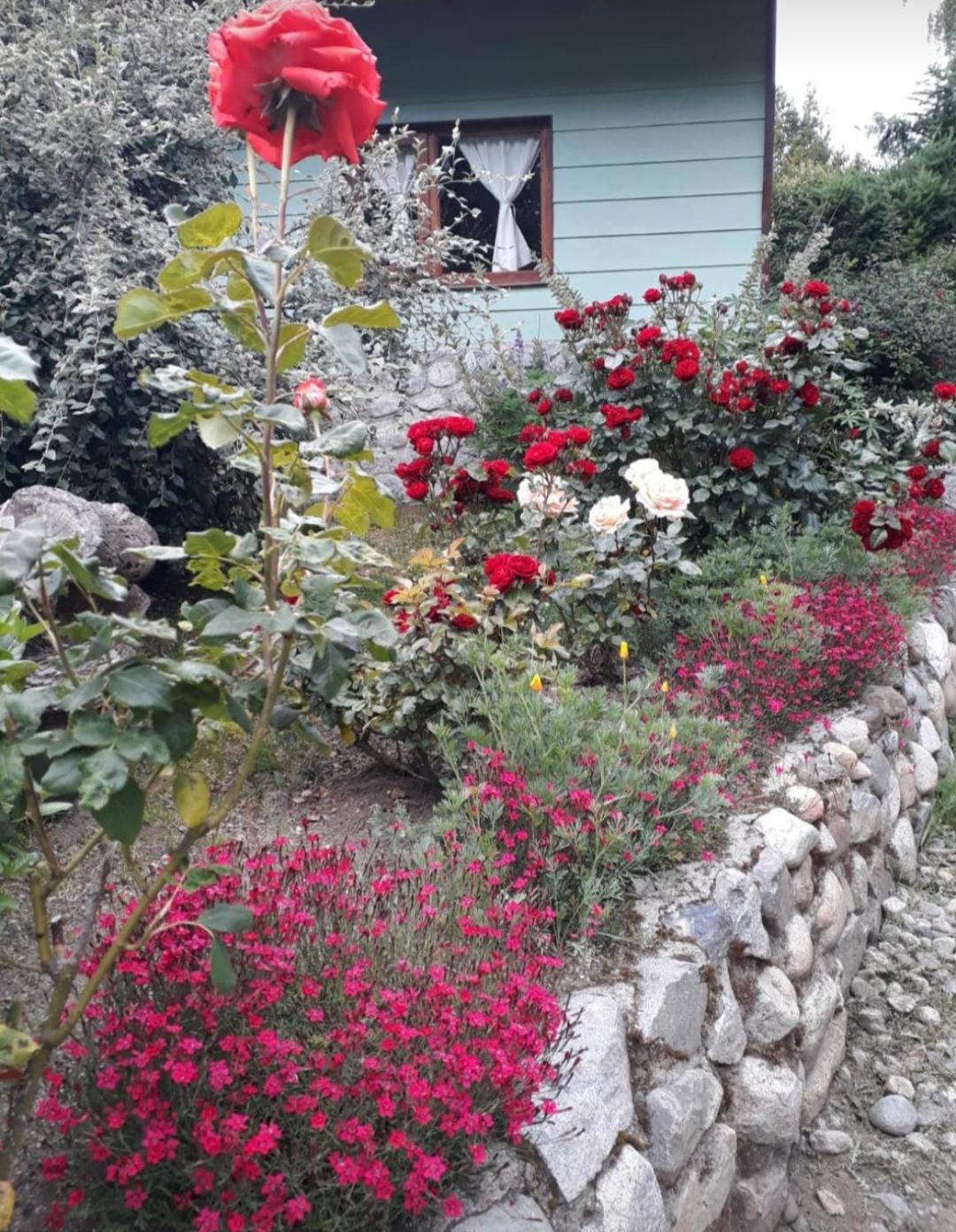 Tierras Del Sur I Un Calido Lugar * Villa La Angostura