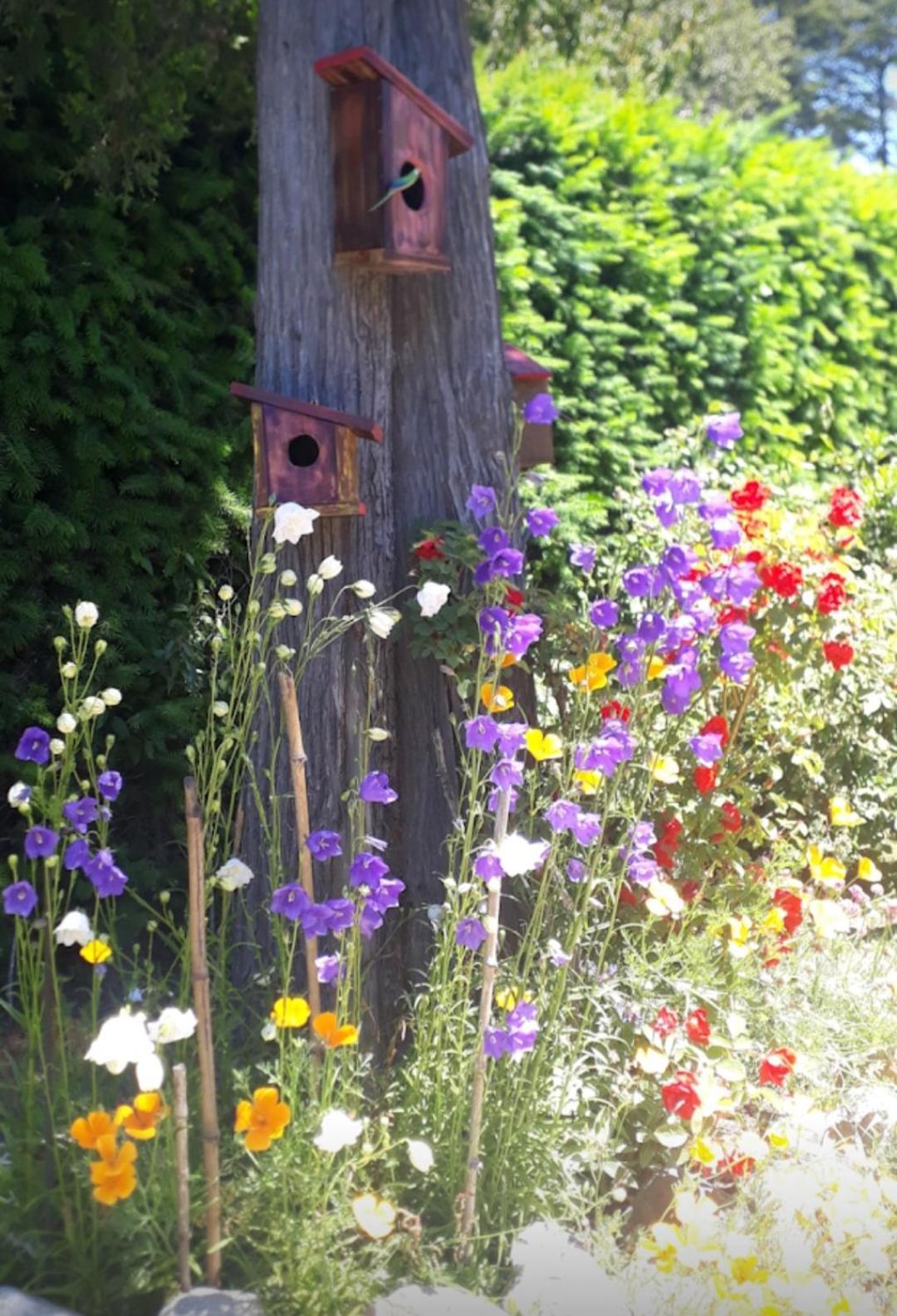 Chalet Tierras Del Sur I Villa La Angostura